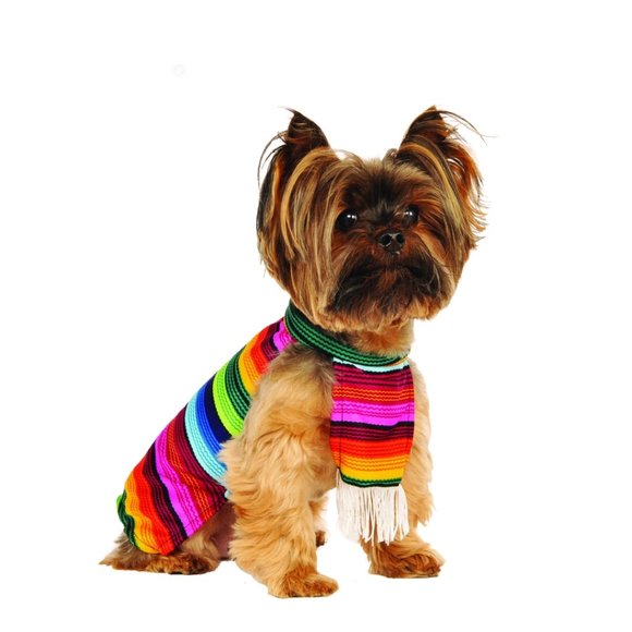 Rubies DISFRAZ DE SERAPE MEXICANO PARA ADULTOS RU15750